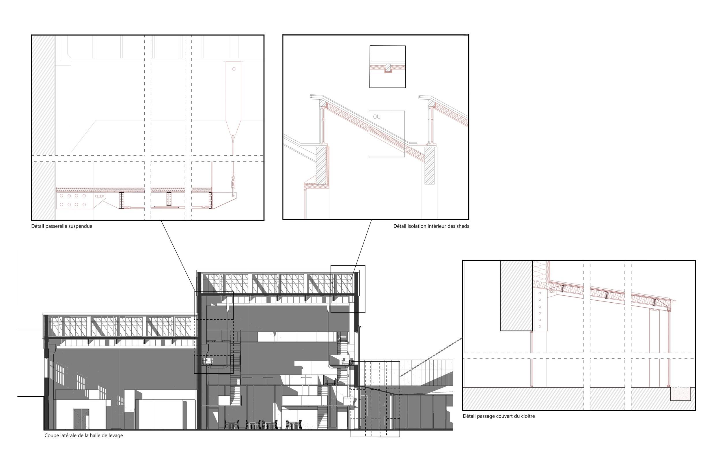 Project image 11